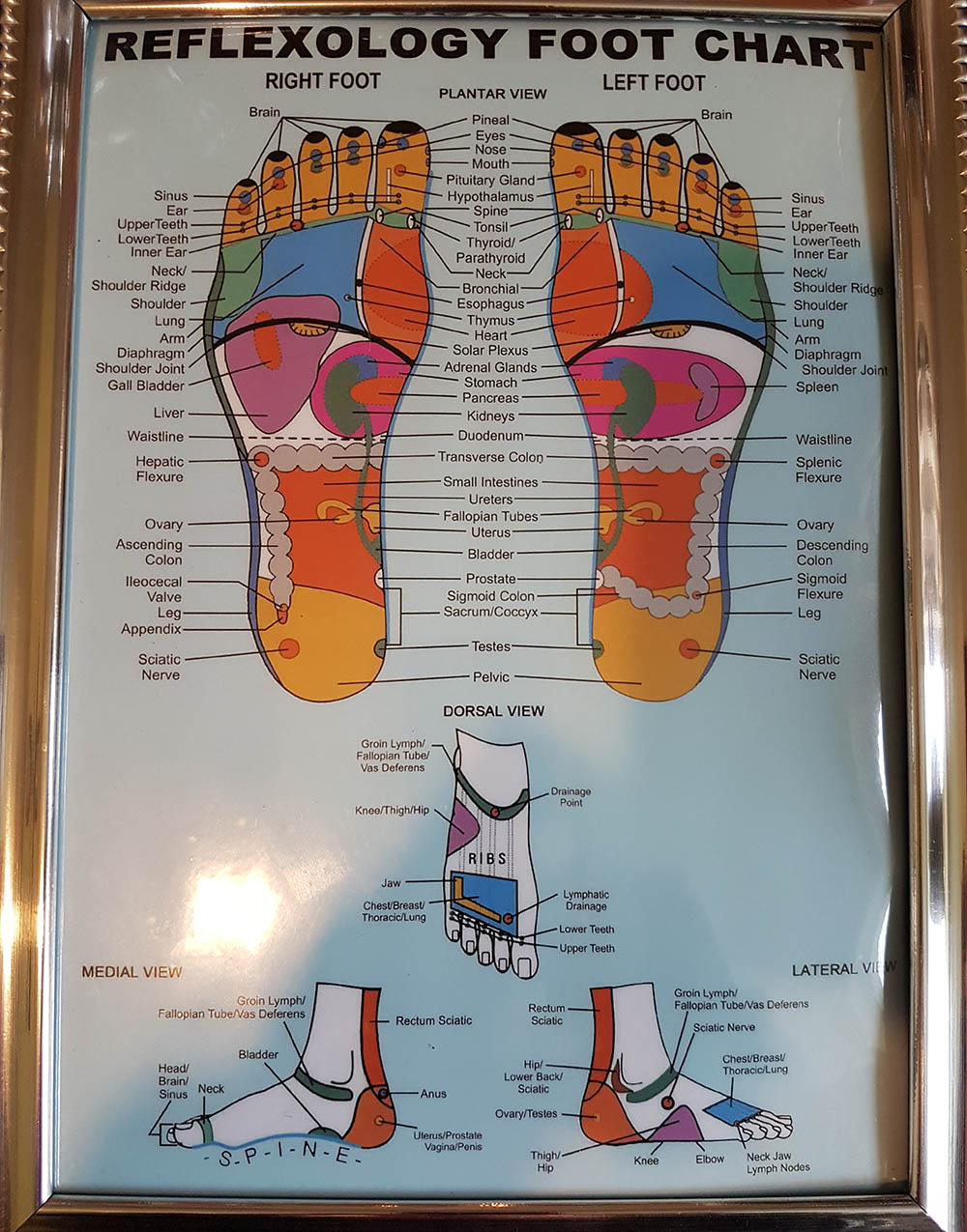 reflexology01 reflexology01